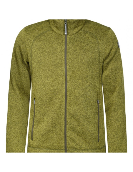 Ανδρικό Fleece Icepeak Josue Abricot