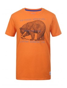 Ανδρικό T-shirt Icepeak Silas Orange