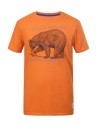 Ανδρικό T-shirt Icepeak Silas Orange