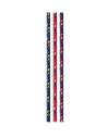 Beal Κορδονέτο 2mm - 10m Purple