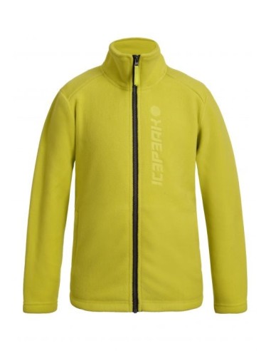 Παιδικό Fleece Icepeak Kooskia Aloe
