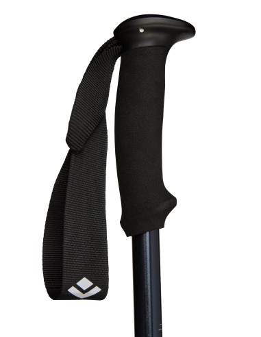Μπατόν Black Diamond Explorer 2 Trekking Poles Ink Blue