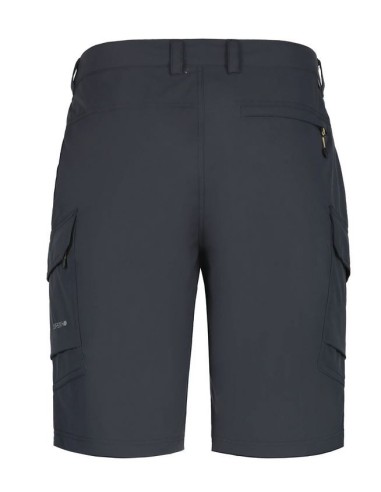 Ανδρικό σορτς Icepeak Braswell Anthracite