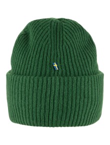 Σκούφος Fjall Raven 1960 Logo Hat Palm Green 2