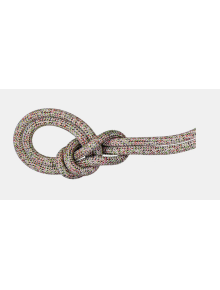 Σχοινί Αναρρίχησης Mammut 9.5 Crag We Care Classic Rope - 80 m - Assorted
