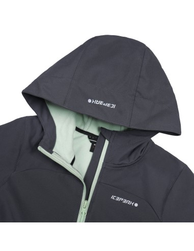 Παιδικό Softshell Jacket Icepeak Kobryn JR Granite
