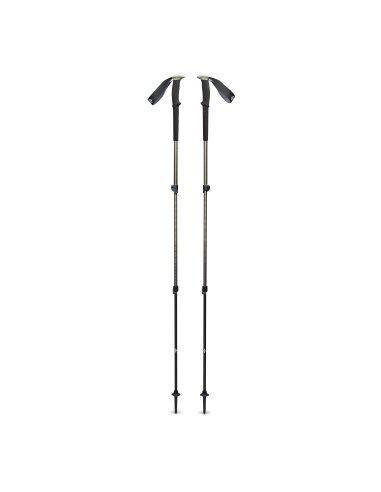 Μπατόν Black Diamond Trail Trekking Poles Pine Smoke